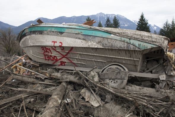 En medio de la naturaleza.