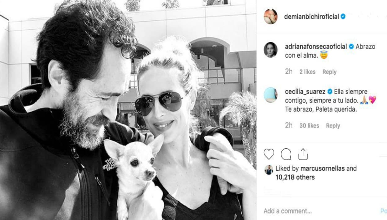 Las actrices Adriana Fonseca y Cecilia Suárez también lo abrazaron a la distancia.