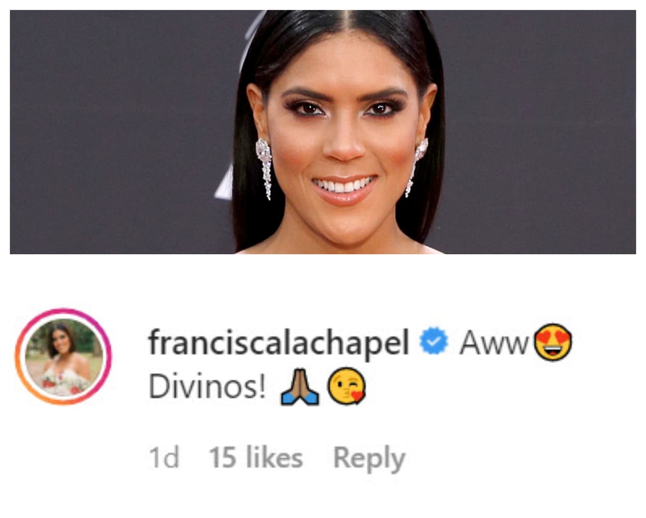 En la imagen resaltan los tres en un 'total look animal print'. La foto, provocó ternura en algunos famosos como Francisca Lachapel, quien muy pronto 
<b><a href="https://www.univision.com/shows/despierta-america/francisca-lachapel-18-semanas-embarazada-charytin-pregunta-un-bebe-fotos" target="_blank">experimentará ser mamá por primera ocasión. </a></b>
<br>