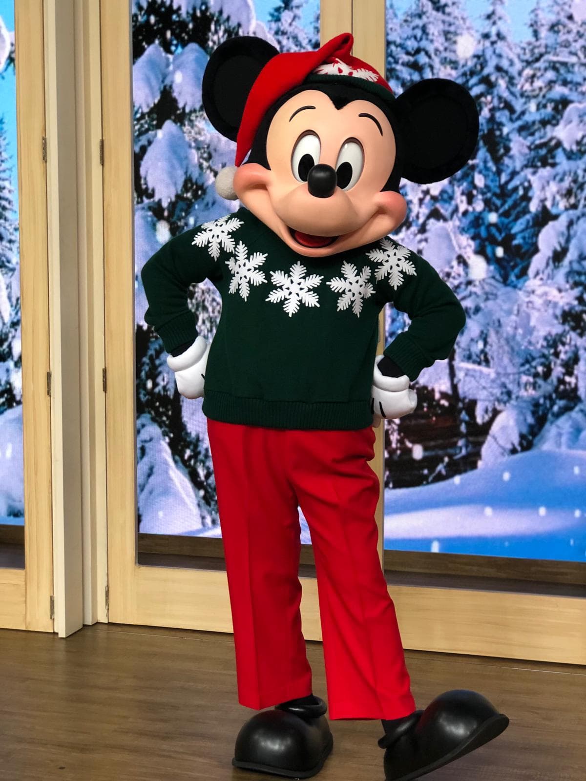 El juez de esta reñida competencia fue nuestro invitado especial, Mickey Mouse.