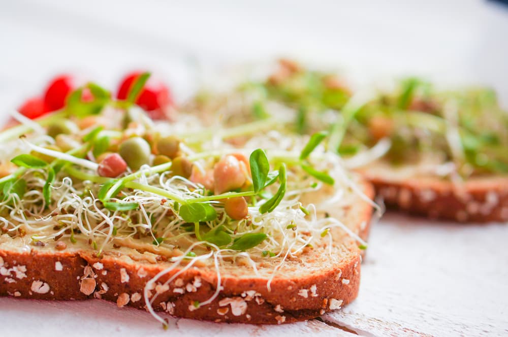 Las legumbres tienen los nutrientes en el interior, pero al germinarlas los nutrientes se vuelven más asimilables. Para germinar las lentejas en un recipiente de vidrio pones una cantidad de lentejas crudas y se dejan remojando en agua por unas 8 o 12 horas.
