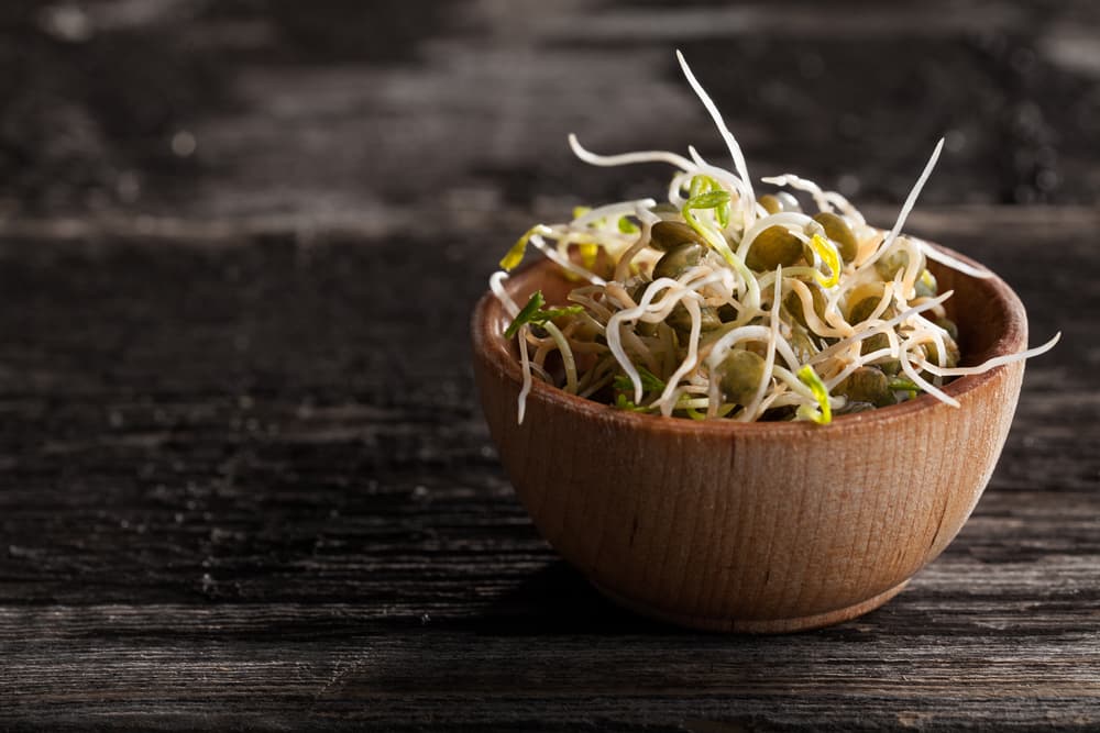 Germinados de lenteja. ¿Has pensado en germinar las lentejas? Si usas este proceso te permite consumir las lentejas y no solo esas, sino todas las legumbres sin cocer. Por ejemplo, una hortaliza de ensalada, en bocadillos o purés.