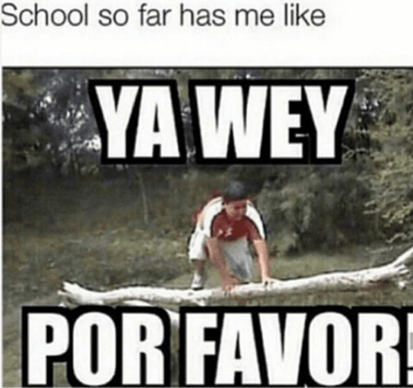 Actualmente, Edgardo Martínez estudia la carrera de Comunicación en la ciudad de Monterrey, Nuevo León, México. Ahora él sueña con convertirse en reconocido conductr de televisión.