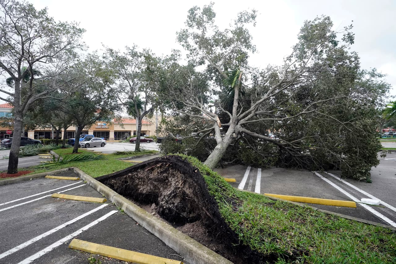 Un árbol arrancado de raíz por los fuertes vientos precedentes al huracán Ian yace en un estacionamiento de un centro comercial en Cooper City, Florida, el 28 de septiembre del 2022. El centro de la enorme tormenta de categoría 4 permaneció en alta mar durante horas, lo que probablemente significará más lluvia y daños.