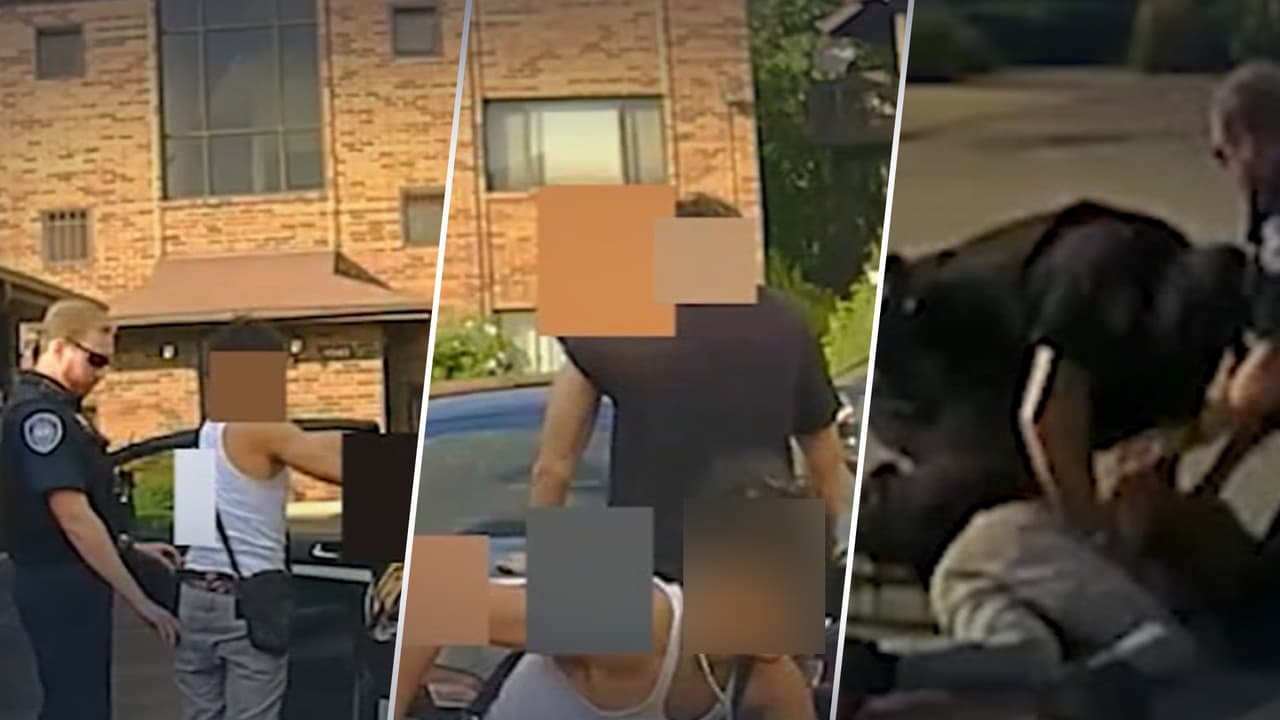 Revelan nuevas imágenes del arresto de adolescente que fue golpeado por policías de Oak Lawn