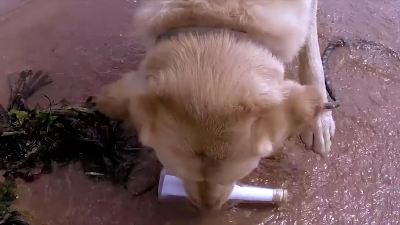 Cuando se sentaron en la oscuridad, una película muy distinta comenzó a verse en la pantalla.