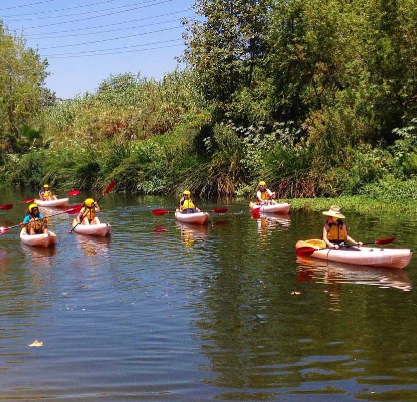 Los paseos guiados en las tranquilas aguas del río serán uno de los principales atractivos de las zonas este verano.