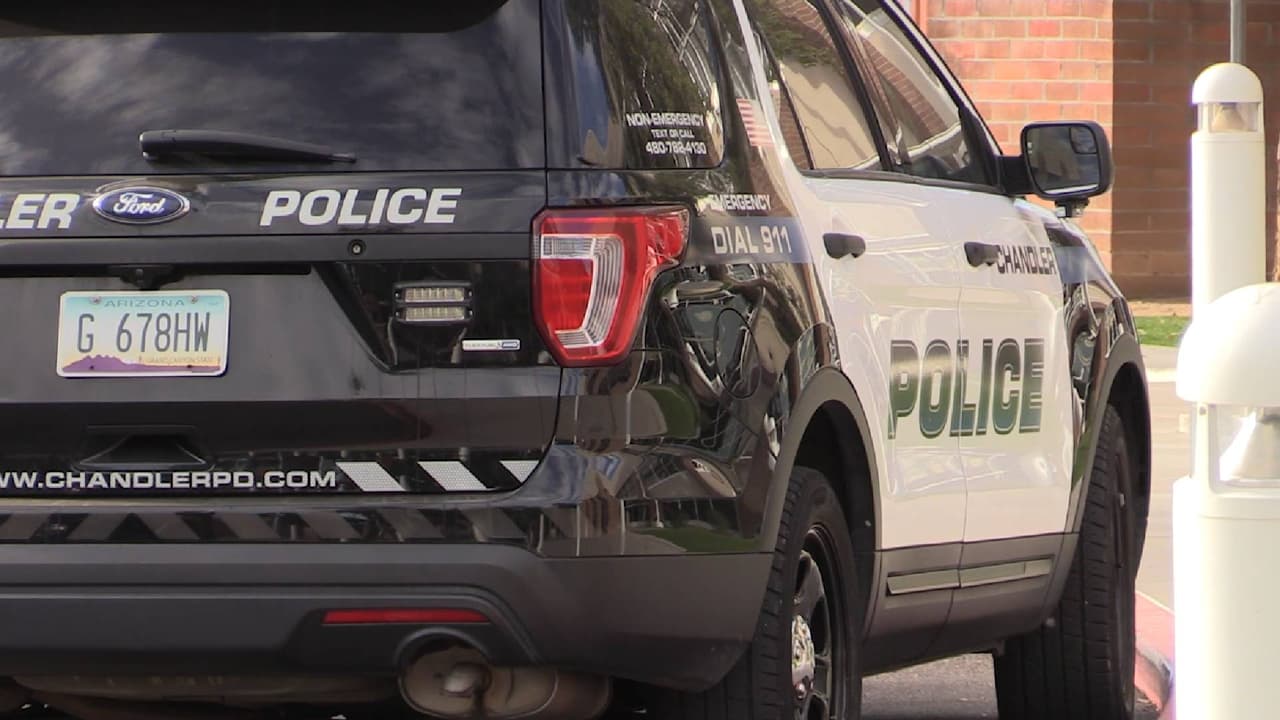 Liberan a sospechosa de crueldad animal; autoridades piden ayuda para su caso