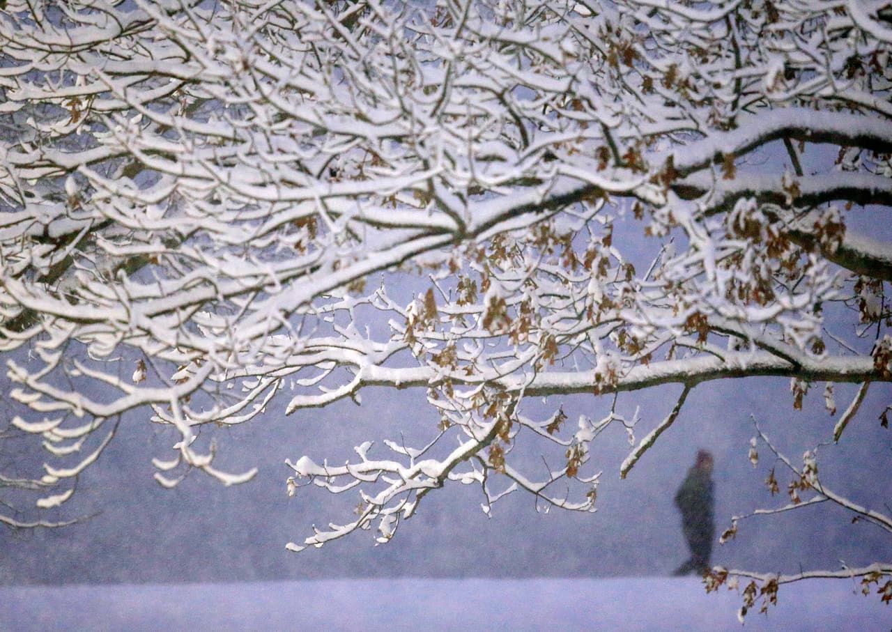 <b>Boston, Massachusetts. </b>A lo lejos se ve a una persona caminando a lo largo del embalse Chestnut Hill, a través de árboles cubiertos de nieve en Boston este sábado 9 de diciembre.