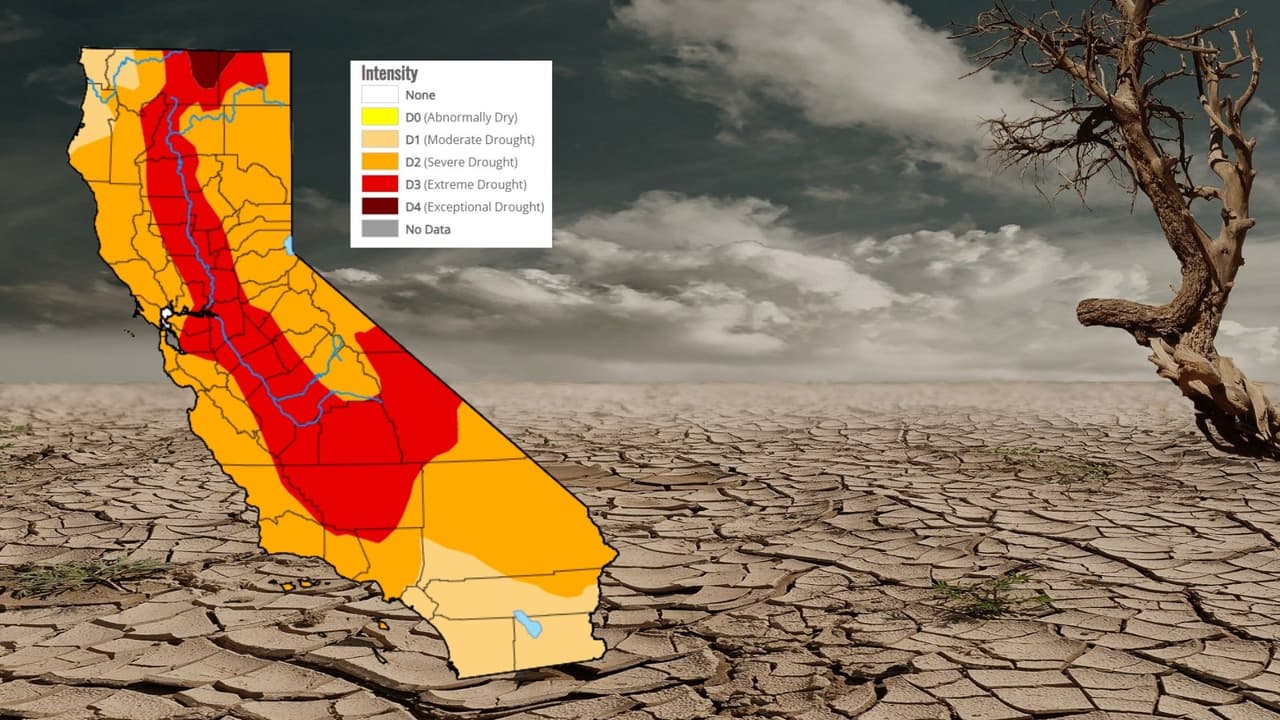 ¿Las lluvias han acabado con la sequía en el Área de la Bahía? Un especialista responde