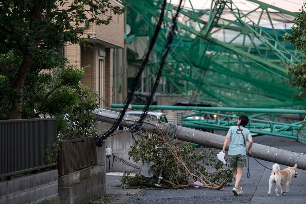 Aunque más de un centenar de vuelos fueron cancelados el lunes a causa del tifón, las operaciones en en el aeropuerto de Narita se fueron reanudando poco a poco, pero según llegaban los pasajeros al aeropuerto quedaban bloqueados por la falta de transportes para llegar a Tokio. Varios vecindarios de la capital decidieron cerrar las escuelas el lunes debido a los peligrosos vientos, que seguían siendo muy intensos incluso después del paso del tifón.