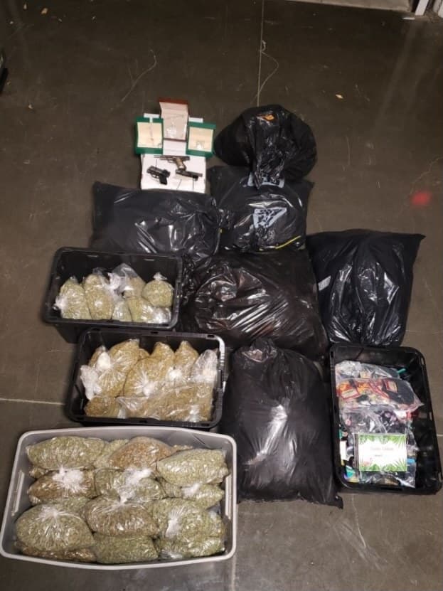 Se confiscaron 773 libras de marihuana procesada, así como 14,763 plantas.