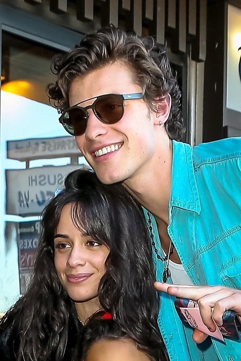 "No creo que 
<b><a href="https://www.univision.com/famosos/camila-cabello-habla-como-nunca-lo-habia-hecho-sobre-su-supuesto-romance-con-shawn-mendes-fotos" target="_blank">supiéramos qué hacer</a></b> con esos sentimientos", continuó.