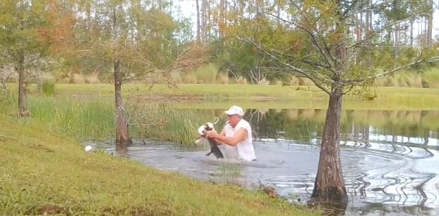 Hombre se lanza a un lago y retira a su perro de las fauces de un caimán; el rescate quedó en video