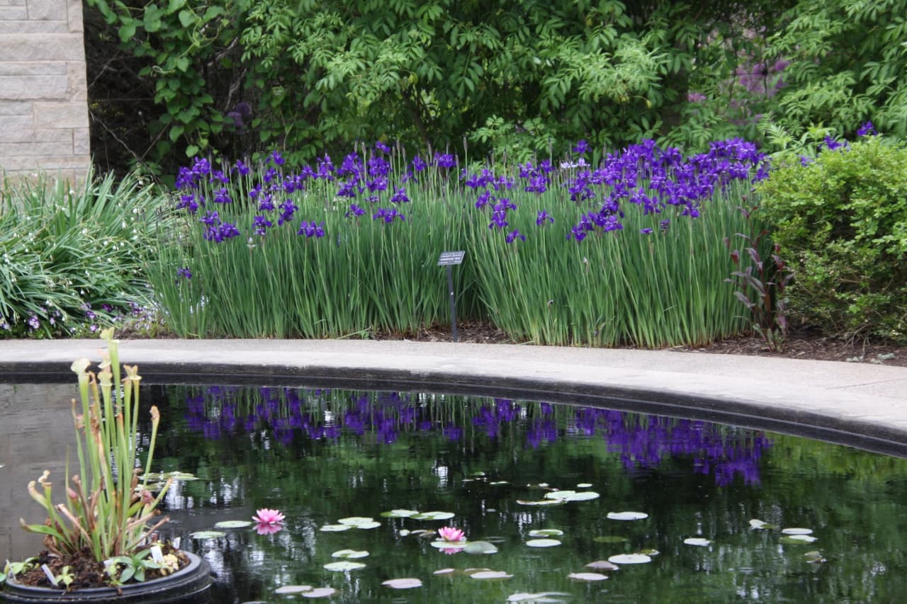 <b><a href="https://arboretum.psu.edu/">The Arboretum at Penn State</a></b>. La misión de The Arboretum at Penn State es promover la educación sobre las plantas y su historia e importancia en la tierra.
<br>
<br>
<b><a href="https://goo.gl/maps/yktRmtVyutYbrN9n8">Cómo llegar</a></b>