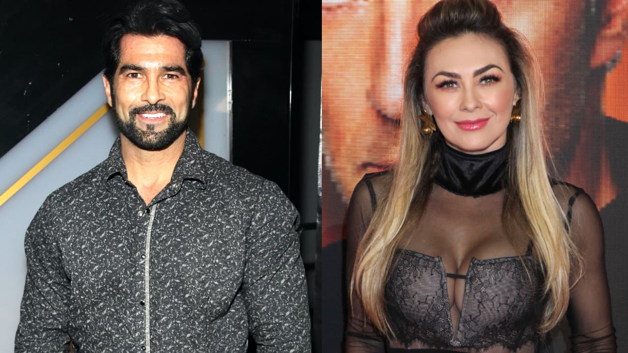 Aracely Arámbula y Arturo Carmona son 'pareja' de nuevo: actor da esta declaración