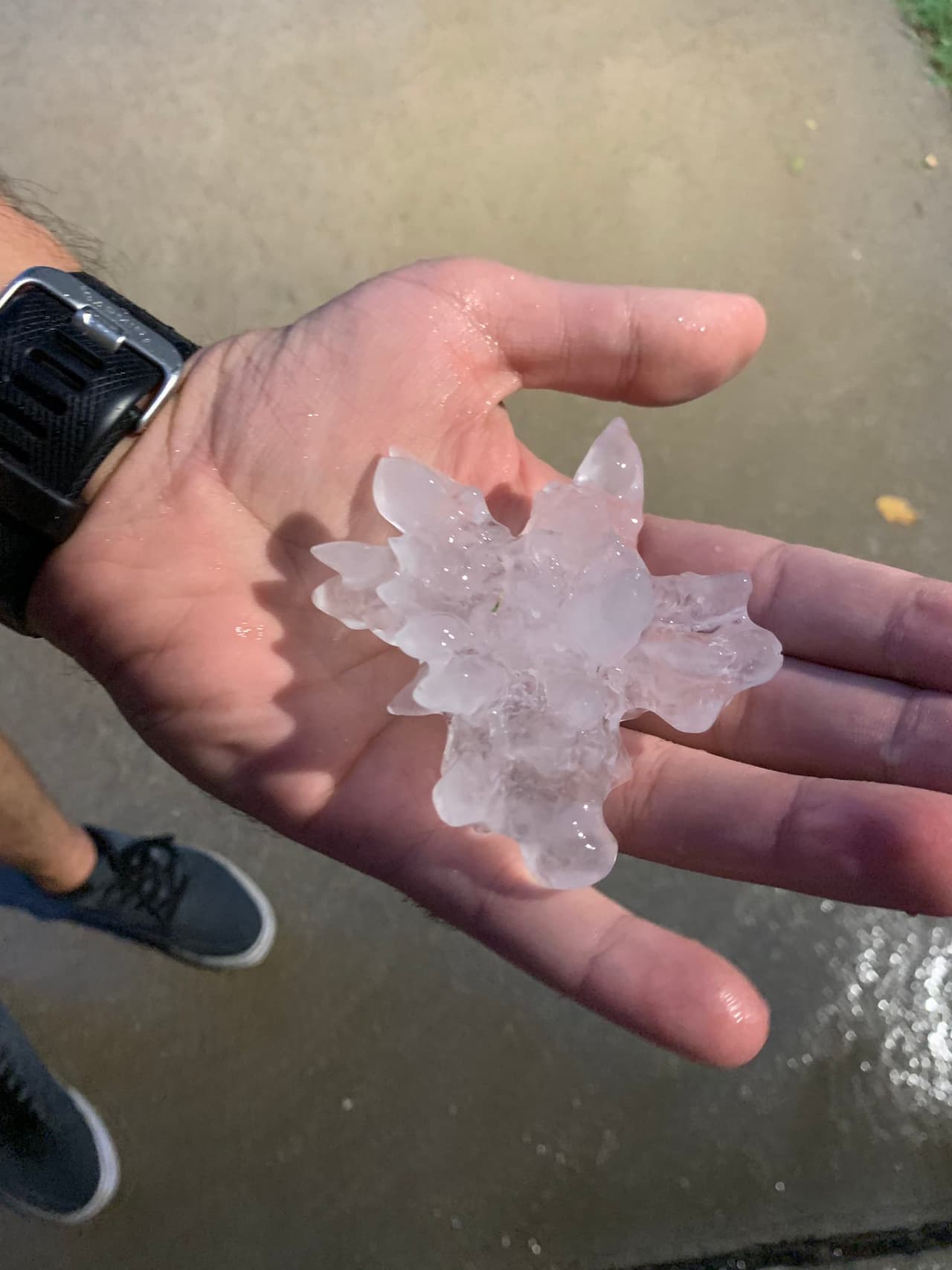 En White Settlement se confirm´o granizo de 3" de diámetro.