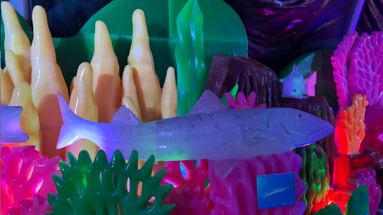 Lo artistas tallaron magníficas e imponentes figuras de hielo.