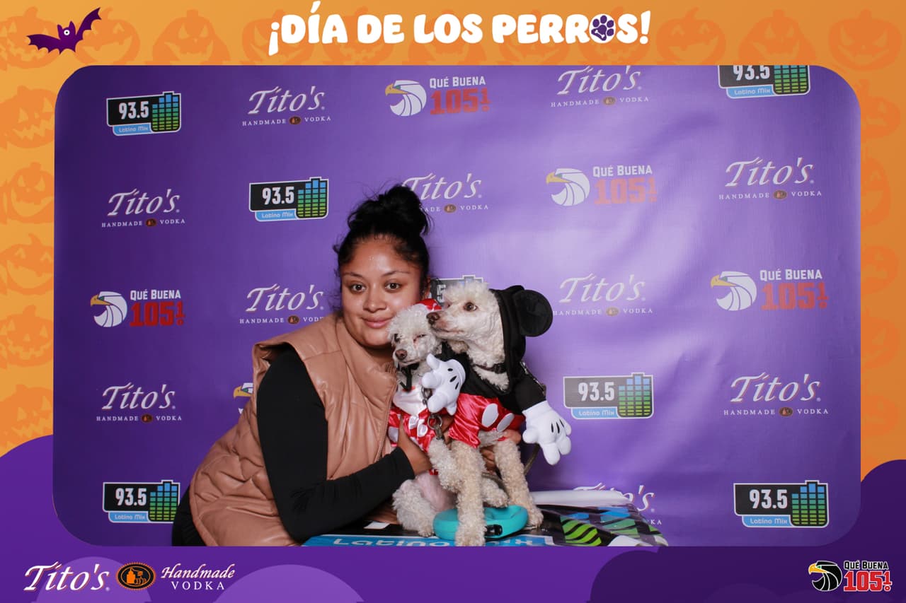 Cual fue tu favorito?