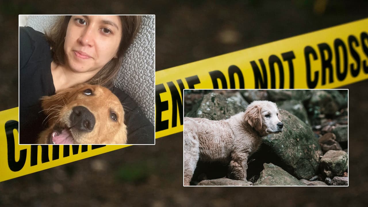 Hallan cadáver de mujer en el río de Vermont cerca de donde fue vista por última vez, era vicepresidenta de editorial Penguin Random House
