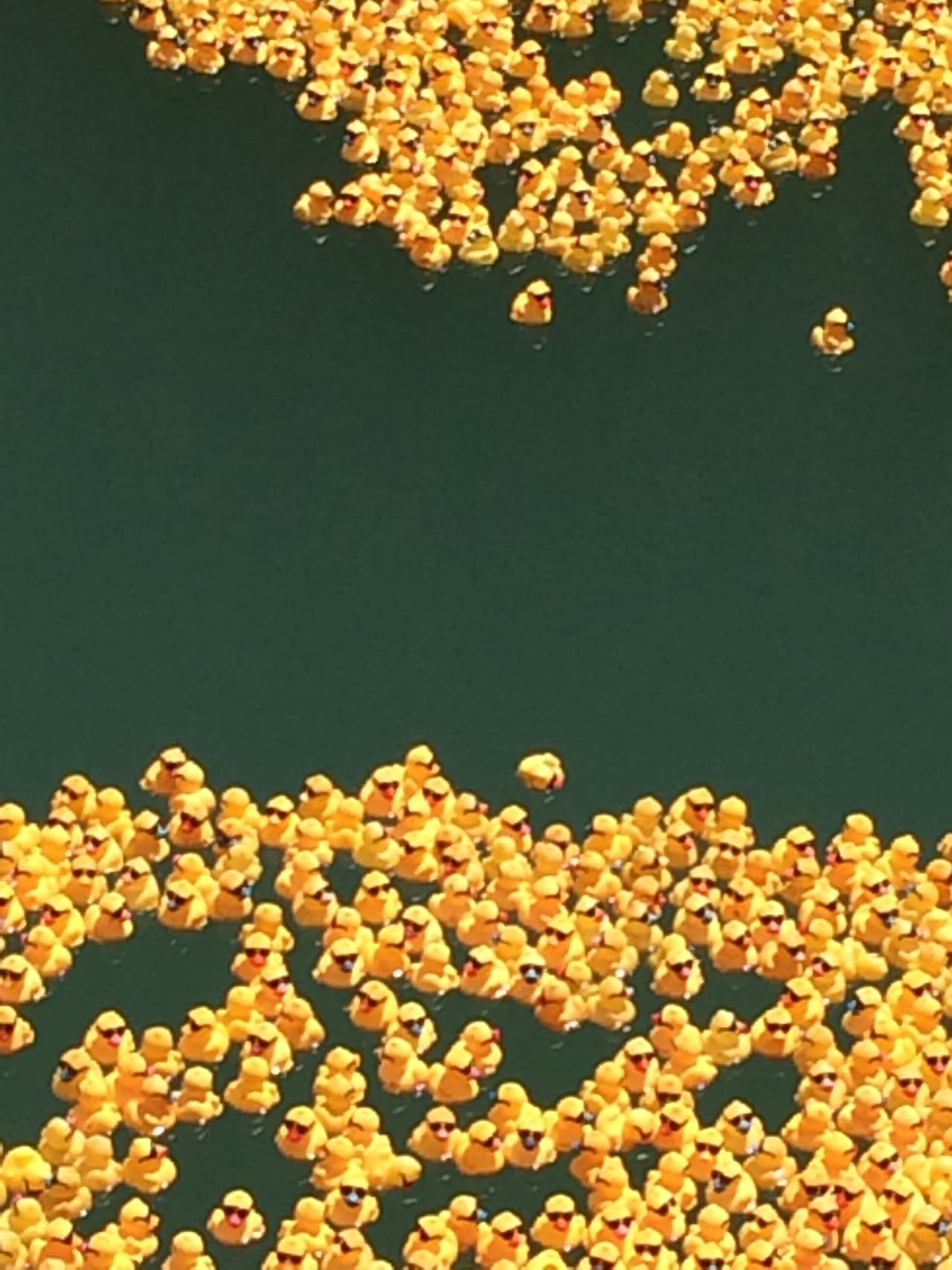 Un evento para apoyar los Juegos Olímpicos Especiales de Illinois.