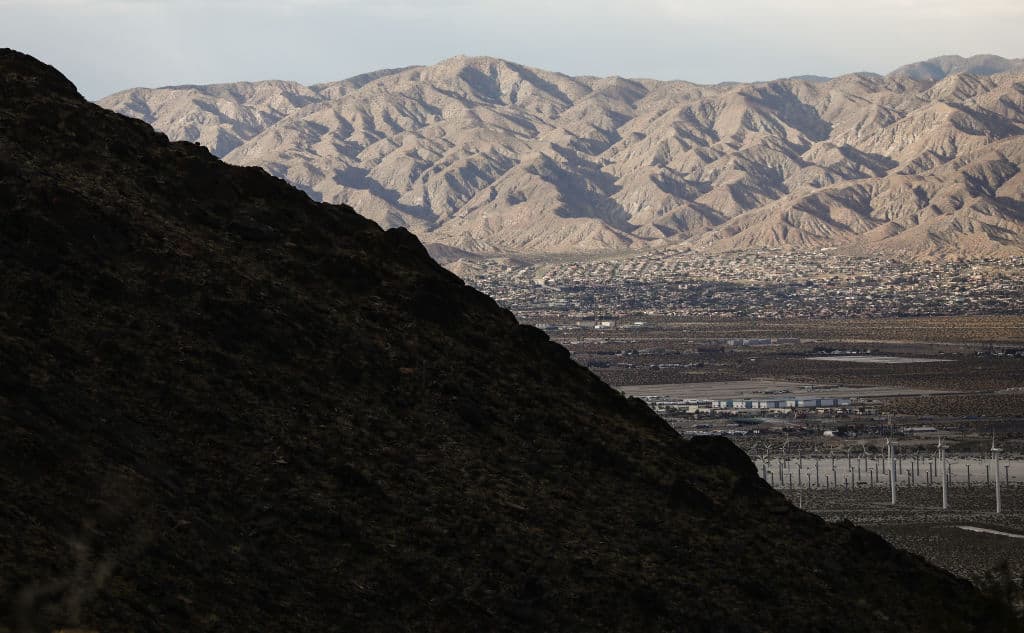 Y si se habla de mascotas o animales silvestre el riesgo de muerte es muy alto.