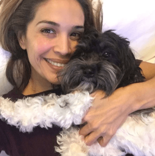 Este peludito de raza Havanese es la macota de la familia de Karla Martínez.