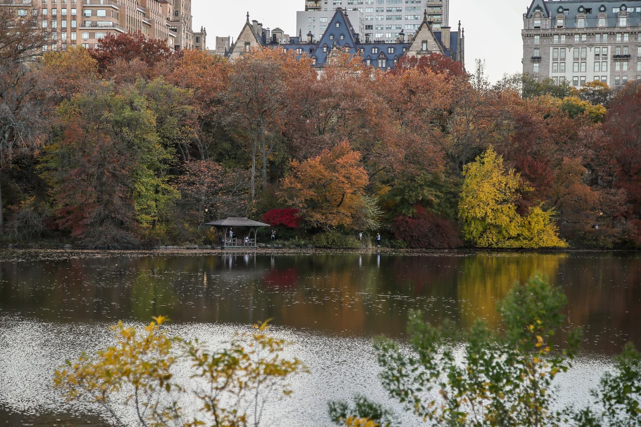 Sin dada alguna, esta es una de las épocas más fotogénicas del año.