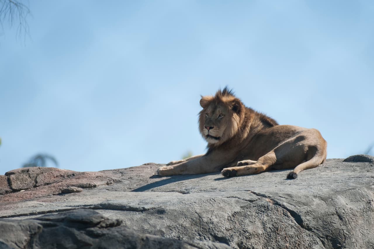 Un bello dia fue perfecto para las familias desde Bakersfield a Modesto.
