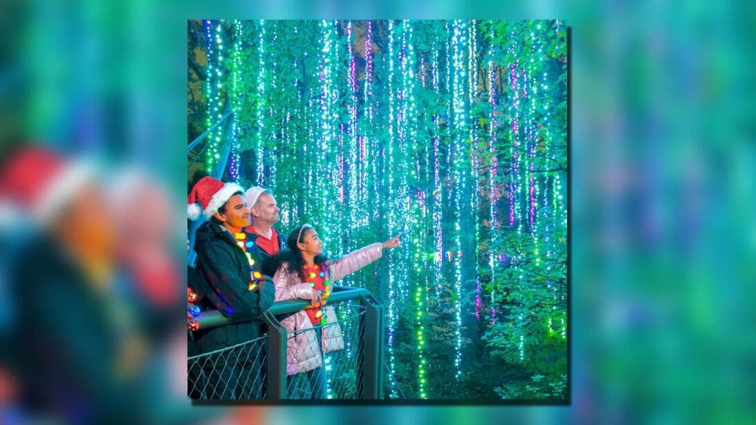 <b>Relacionado</b>: 
<b><a href="https://www.univision.com/local/atlanta-wuvg/enciende-navidad-espectaculos-de-luces-georgia-2021-fotos" target="_blank">Estos espectáculos de luces en Georgia</a></b> te harán despertar tu espíritu de Navidad