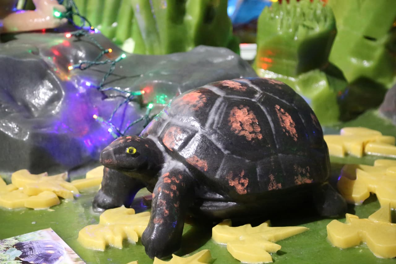Tortugas, ranas, serpientes y otras criaturas de las selvas tropicales hacen parte de la exhibición Ice Land.