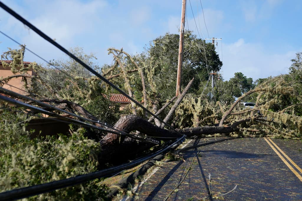 Árboles caídos y líneas eléctricas bloquean una carretera en Pebble Beach, California, el domingo 4 de febrero de 2024. (Foto AP/Ryan Sun)