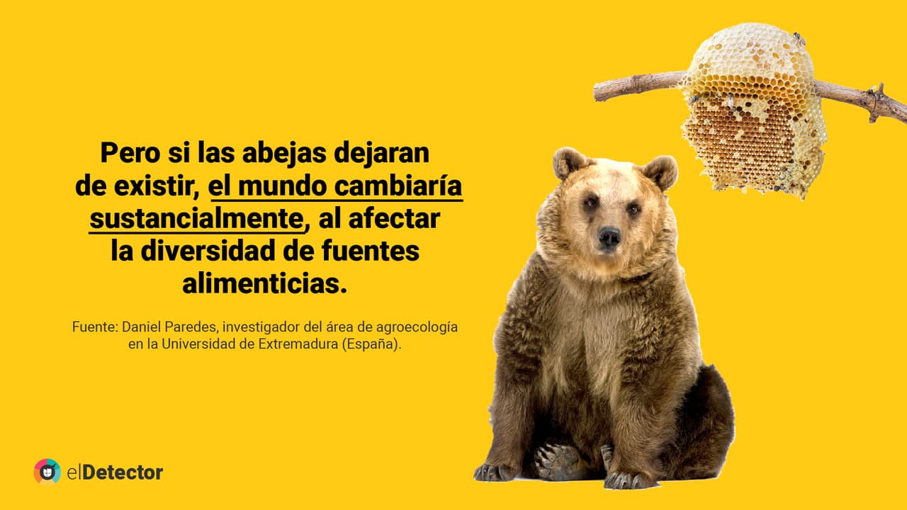 <a href="https://www.univision.com/noticias/diamundialabejas-no-evidencias-humanidad-acaba-4-anos-si-desaparecen-abejas-pero-mundo-si-cambiaria" target="_blank">Lee aquí</a> la verificación completa de
<b> elDetector.</b>