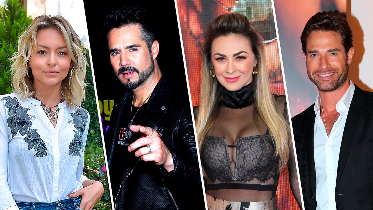 ¿Es más alta Angelique Boyer o Aracely Arámbula? Esto es lo que miden los famosos