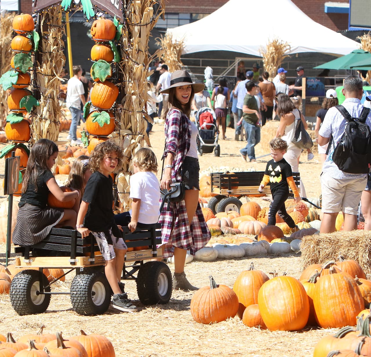 Los padres toman uno de los carritos, los niños montan en ellos y ¡a buscar calabazas se ha dicho!