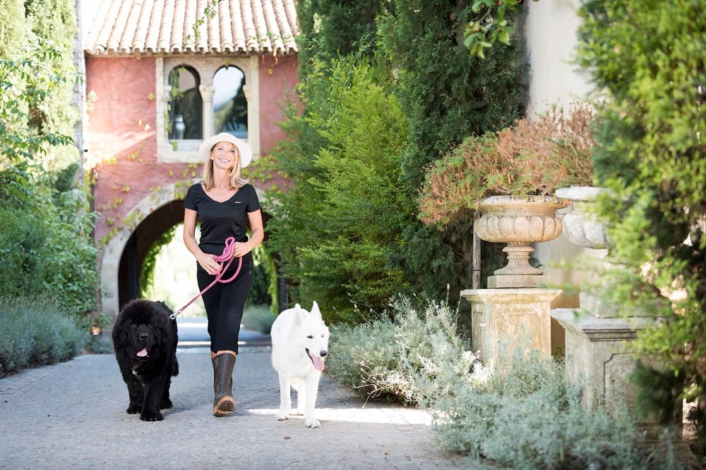 Si el empresario rechaza la orden judicial, se enfrentará a una multa diaria de 550 dólares (500 euros), además del medio millón de dólares (450,000 euros) que debe pagar por la construcción ilegal, según indicó la 
<a href="https://www.lematin.ch/monde/somptueux-chteau-diter-doit-detruit/story/28048269" target="_blank">prensa francesa</a>. En todo caso, Diter se ha librado de ir a la cárcel.