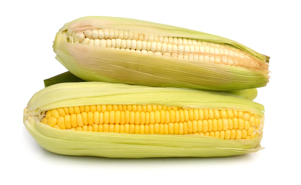 Por eso es común que en rituales de prosperidad y buena suerte uno de los ingredientes básicos sean los granos de maíz. Un amuleto muy básico para alcanzarlo es colocar algunos granos de maíz dentro de una bolsita de color naranja y cargarla con nosotros.