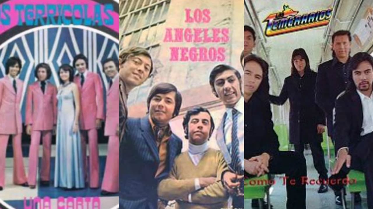 <b>En sus inicios fueron llamados ‘El grupo romántico más joven de México’…</b>
<br>a) Los Terrícolas b) Los Ángeles Negros c) Los Temerarios
<br>