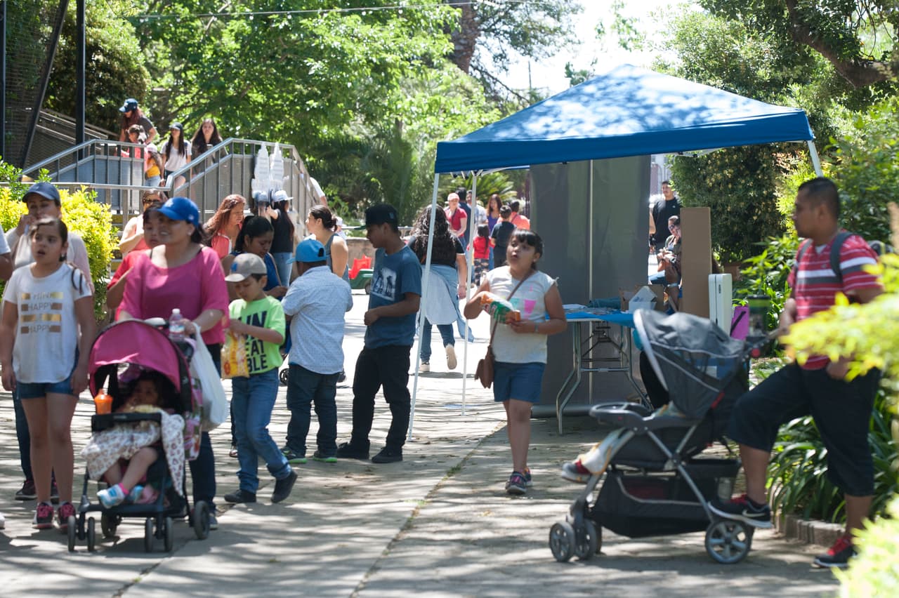El show de aves fue uno de los favoritos durante el Festival de los Niños 2017