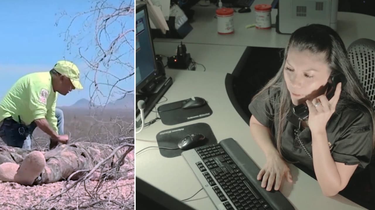 Así coordina el 911 de Sonora las llamadas de rescates en la frontera con la Patrulla Fronteriza en EEUU