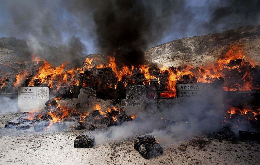 En
<b>Quintana Roo operan 13 grupos</b> en ciudades como Cancún. “El CJNG es el grupo que más confrontaciones tiene con grupos rivales por el control del territorio dada su rápida expansión a partir de 2017 y su presencia en prácticamente casi todo México”,
<a href="https://www.animalpolitico.com/el-dispensario-dialogo-sobre-drogas/la-geografia-de-la-violencia-presencia-de-grupos-criminales-en-mexico/" target="_blank">aseguró Roa</a> al dar a conocer los resultados de su análisis.