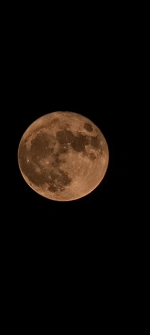 Esta fotografía la tomó Yesenia Jaramillo en Arlington, Texas.
