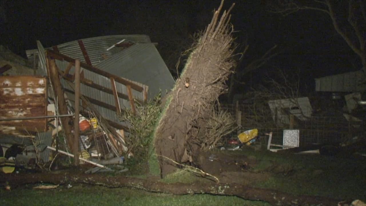 La fuerza de los vientos, de entre 80 y 100 millas por hora, derribó árboles y causó daños a viviendas.