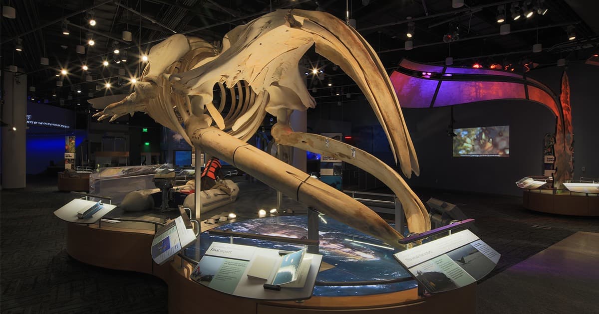 <b>North Carolina Museum of Natural Sciences</b>
<br>
<b>Sitio web</b>: 
<a href="https://naturalsciences.org/">https://naturalsciences.org/</a> 
<br>
<b><a href="https://maps.app.goo.gl/DbSgh2iBrQX5uqCH7">Cómo llegar</a> </b>
<br>
<br>El Museo de Ciencias Naturales de Carolina del Norte es el museo de historia natural más grande del sudeste de Estados Unidos. Cuenta con un Centro de Exploración de la Naturaleza y un Centro de Investigación de la Naturaleza, con cuatro pisos de exhibiciones, animales vivos, tiendas de regalos y cafés.