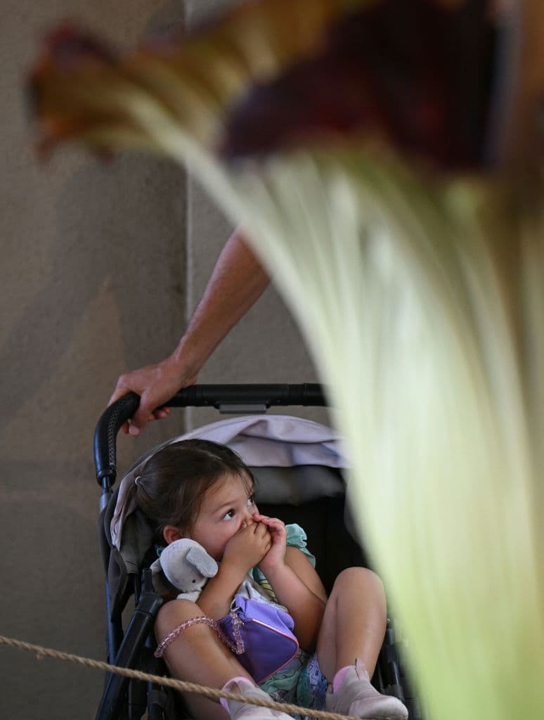 No se trató de un mal olor pasajero, según dejó saber la niña, mientras se tapaba la nariz.