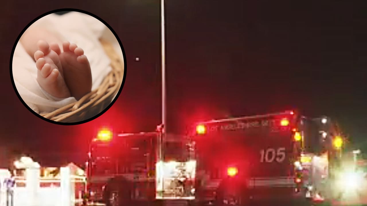 Encuentran a recién nacida muerta en contenedor de basura en Woodland Hills; investigan homicidio