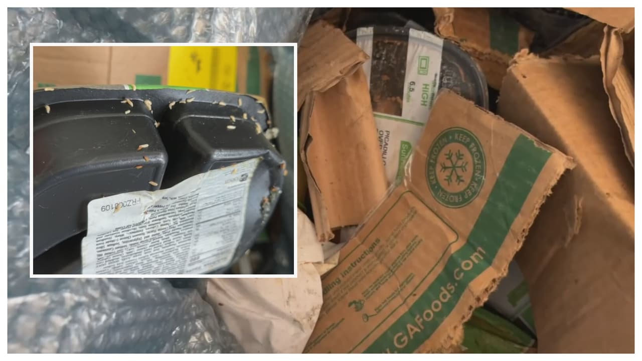 Familia cubana de Miami Gardens asegura haber recibido comida con gusanos de parte de Medicaid