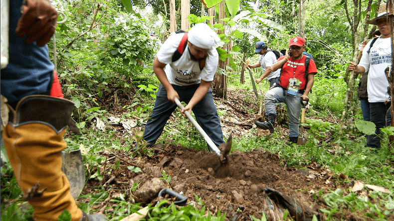 La Red de Enlaces Nacionales se consumó en abril de 2016 con la exhumación de más de diez mil piezas humanas.%�
