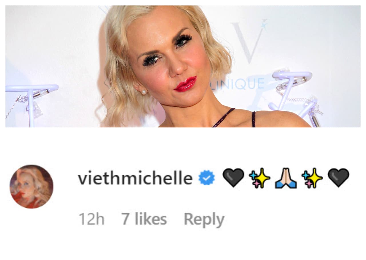 Una de ellas fue la actriz 
<b><a href="https://www.univision.com/famosos/a-michelle-vieth-no-le-hizo-falta-un-marido-ni-un-profesional-para-resolver-lo-que-no-funcionaba-en-casa-video" target="_blank">Michelle Vieth</a></b>, quien dejó esta serie de emoticonos con los que expresó sus condolencias.
<br>