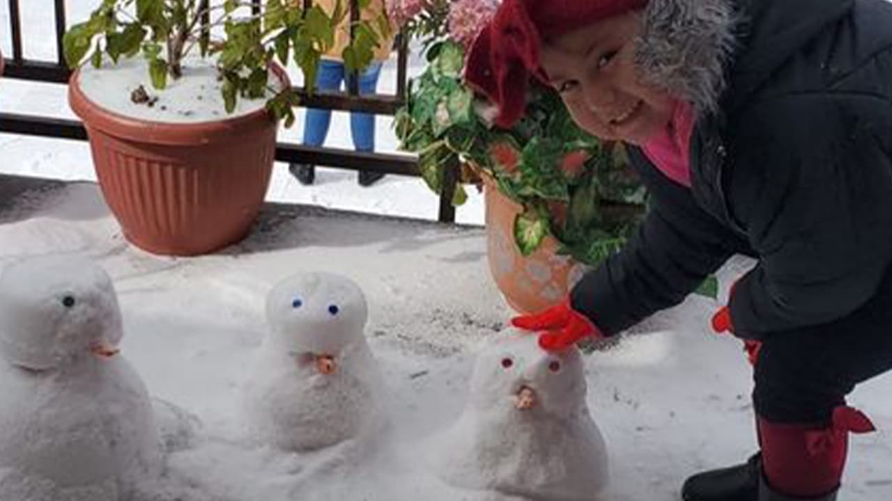 José Monterroso tambien residente de Houston hizo tres muñecos de nieve.